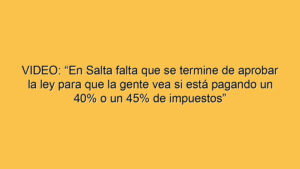 VIDEO: “En Salta falta que se termine de aprobar la ley para que la gente vea si está pagando un 40% o un 45% de impuestos”