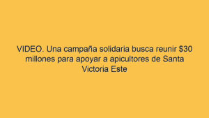 VIDEO. Una campaña solidaria busca reunir $30 millones para apoyar a apicultores de Santa Victoria Este